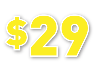 Only 29 dollar service fee