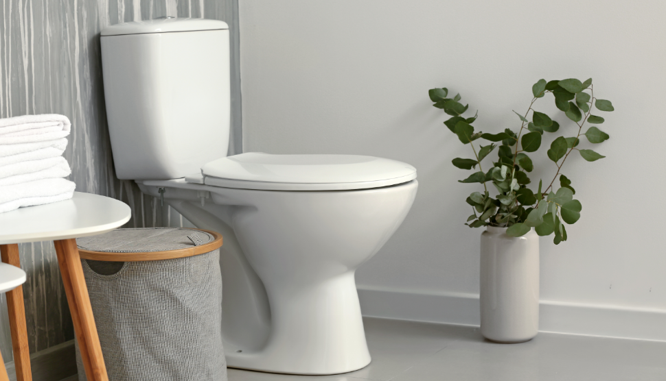 picture of a toilet with a plant sitting next to it